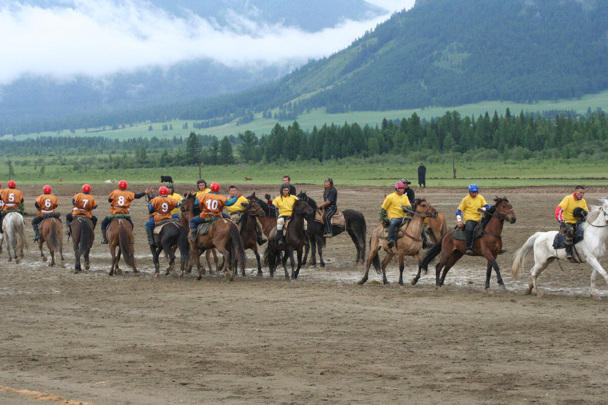 Приветствие