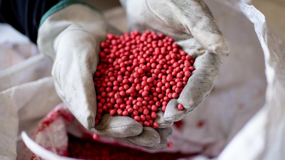 Фото: agriculture.basf.us