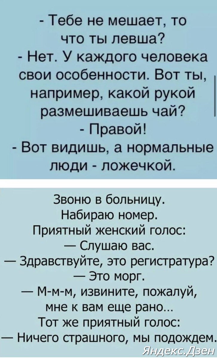 Анекдоты и приколы, которые затсавят вас улыбнуться | Вероника Мещерякова |  Дзен