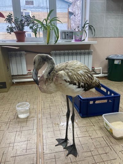 Фото: yakutia.info.ru