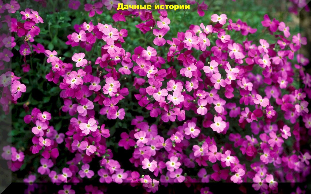 https://vk.com/photo-159774511_457251899