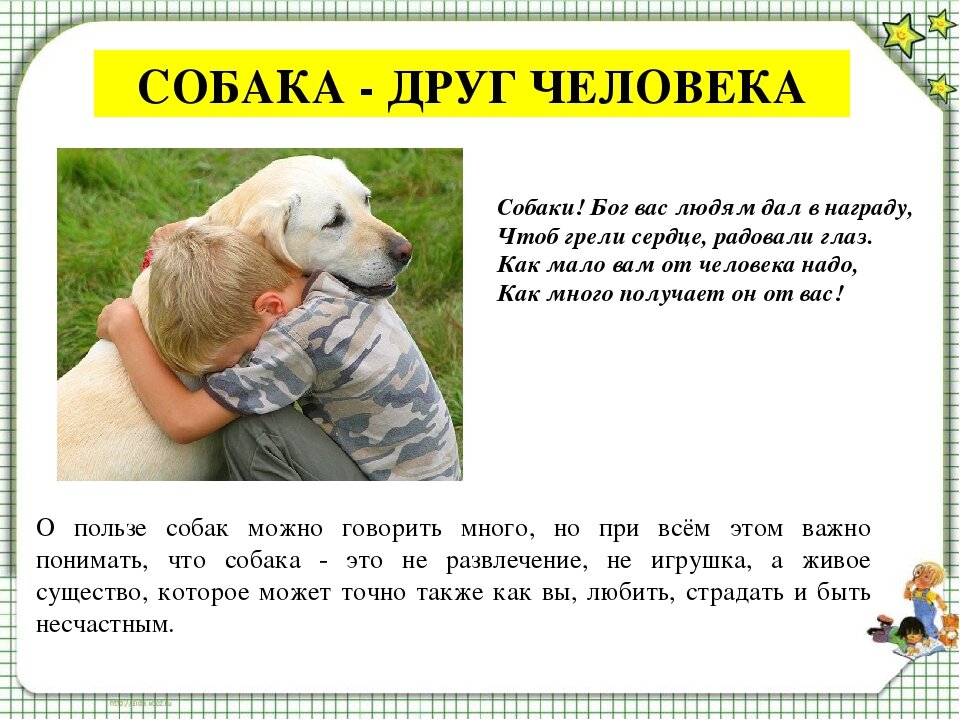 Для чего полезна собачья шерсть. Польза животных для человека собака. Польза собаки для человека. Польза домашних животных для детей. Польза от собаки для человека.