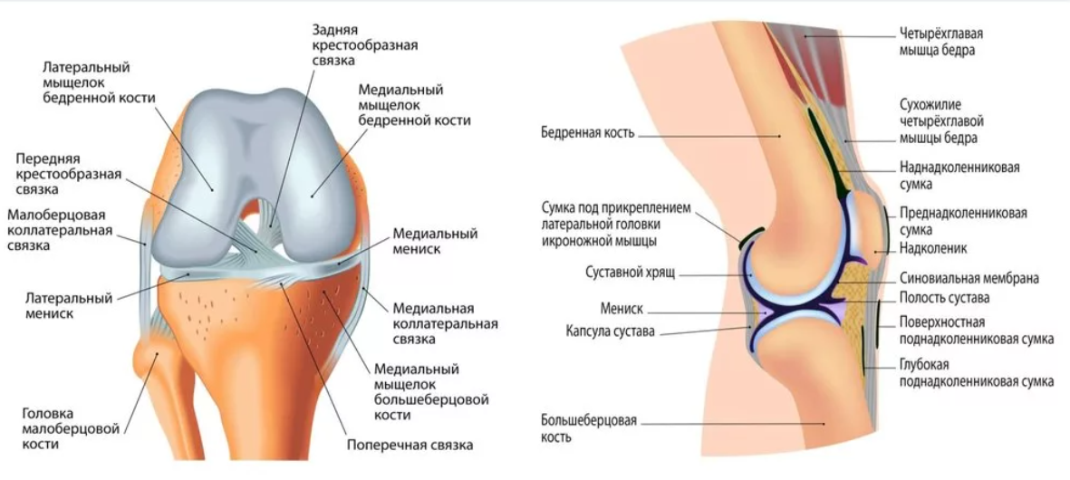 Трабекулярный отек медиального мыщелка бедренной кости