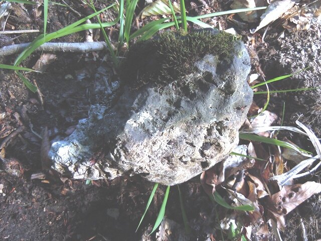 Обнаружение и поиски Объекты были случайно обнаружены в 2001 г. Занимался в другом месте картографированием и для разнообразия совершил экскурсию с подъёмом на одну из гор.-2