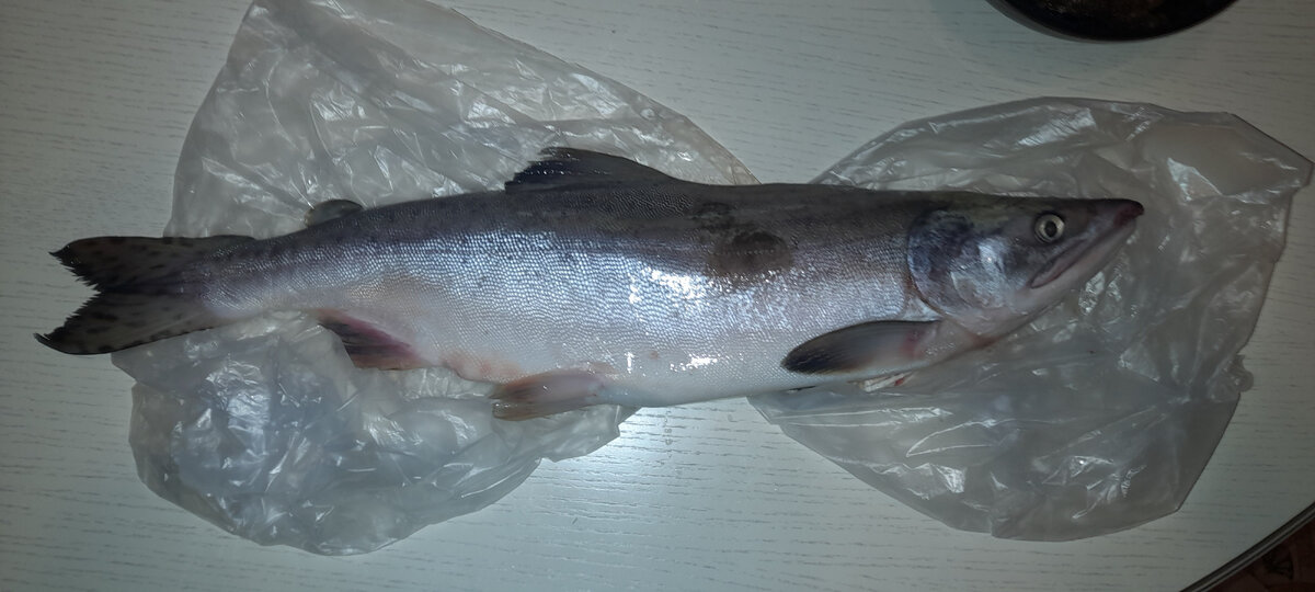 Жаль без икры