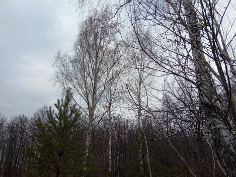 Фотография из личного архива автора