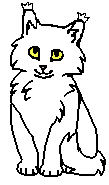 Буран- котёнок
