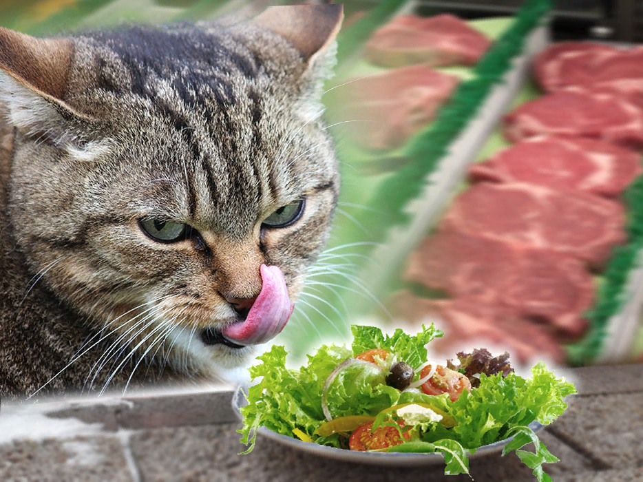 Коллаж ForPost