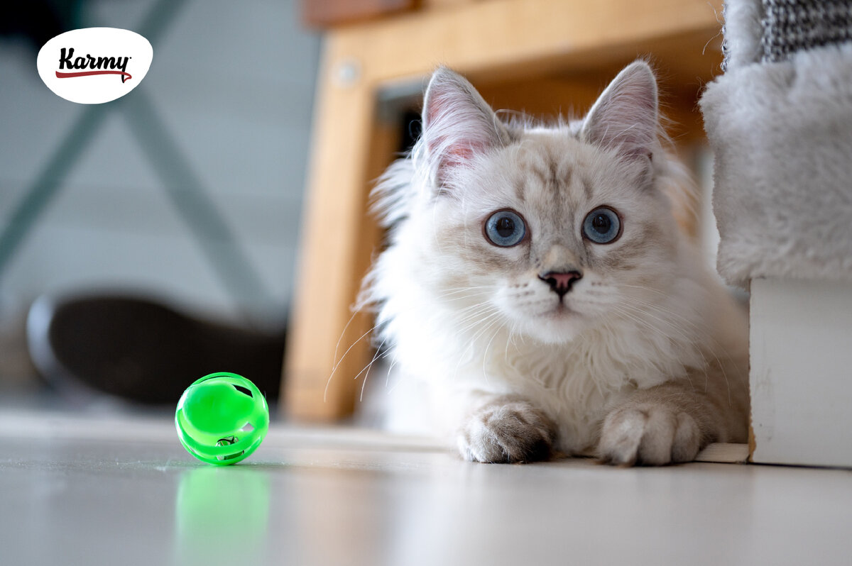 Авторское изображение с использованием картинки с фотостока "Unsplash"