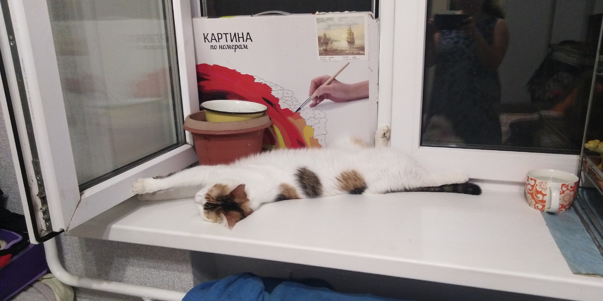 Кружка специально для кошек