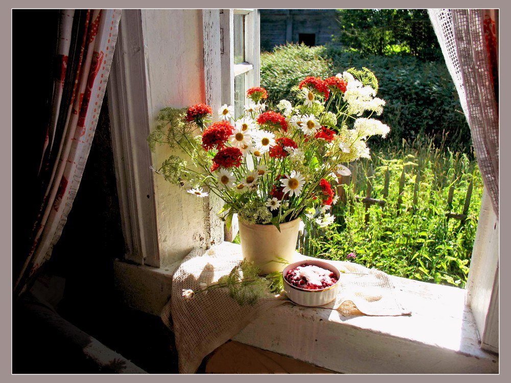 Картинка из интернета. Цветы на подоконнике