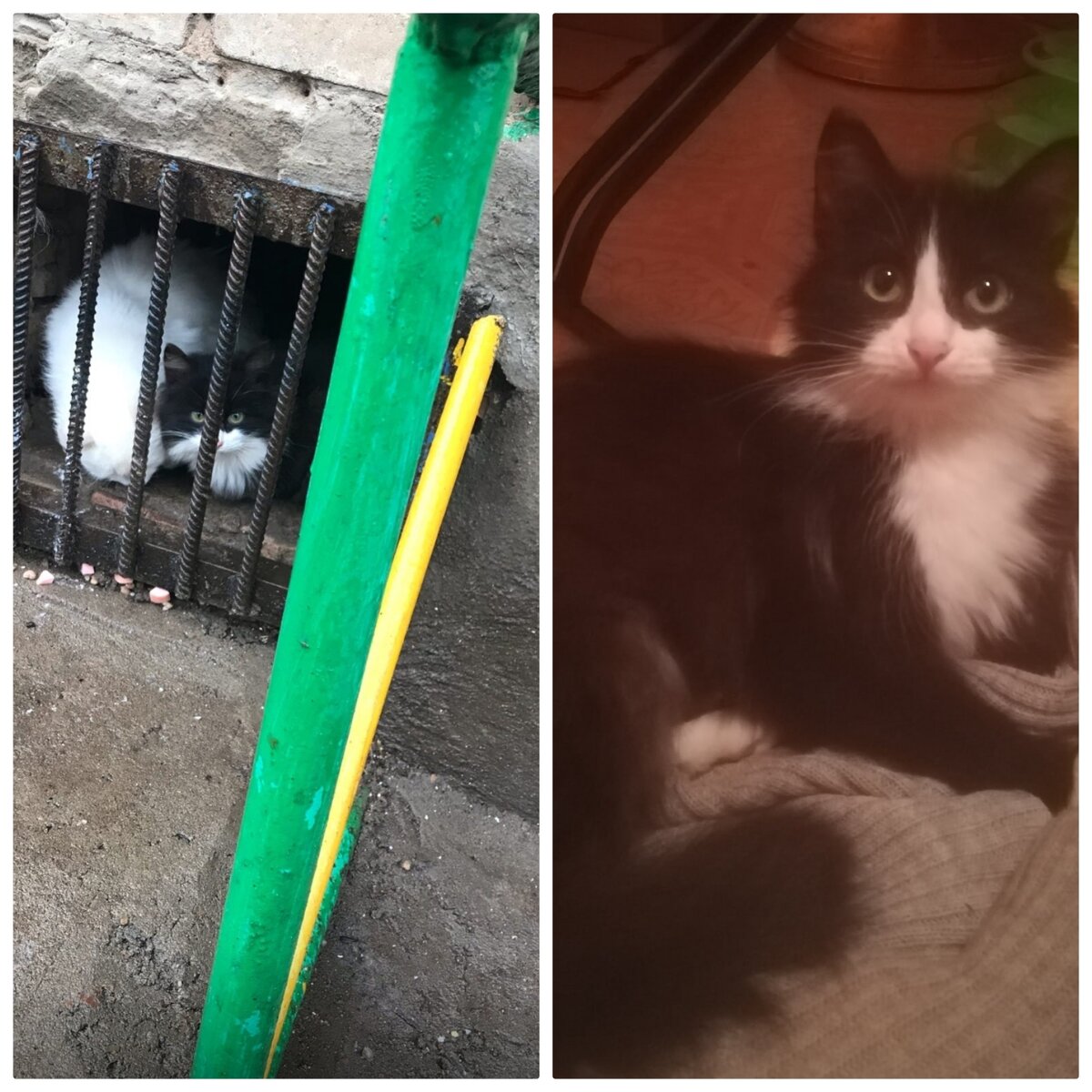 Из подвала забрали, что дальше? Дюртюди, Башкирия.  Возможна отправка в ваш город. 