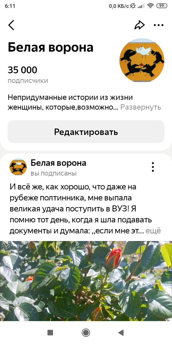 Скриншот автора 