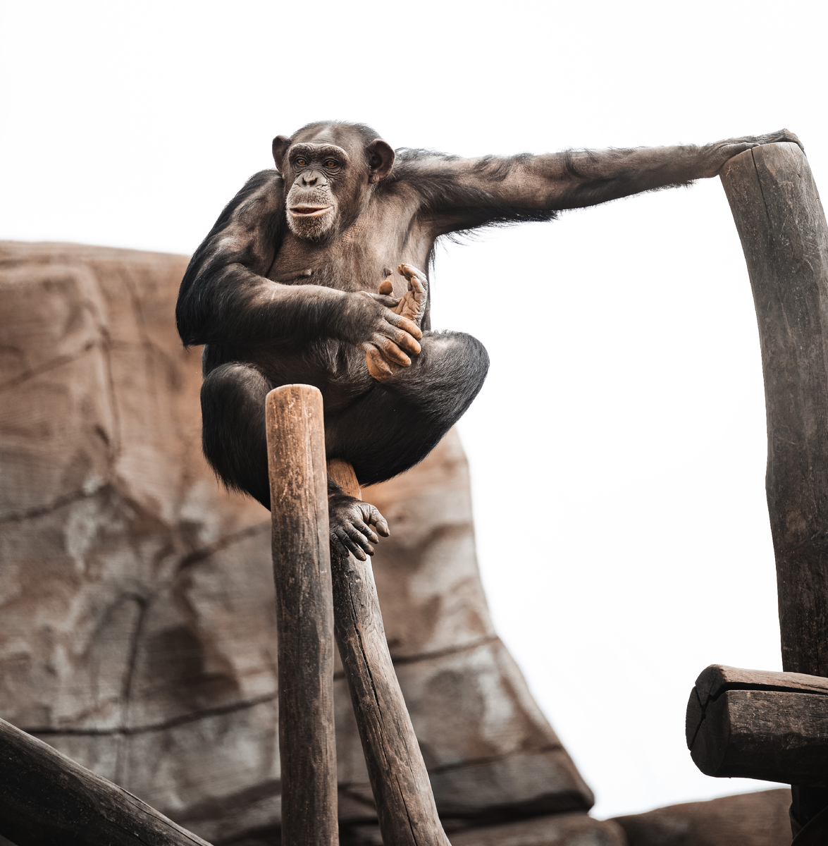 Фото из открытых источников интернет