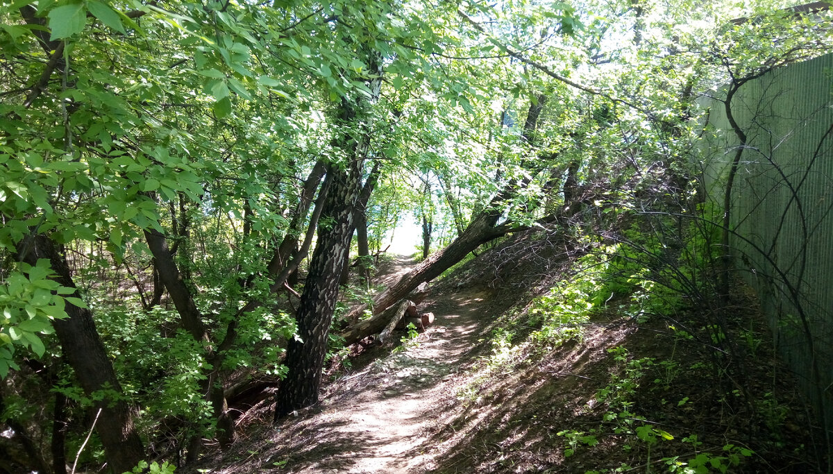 Тропинка, ведущая к карьеру от железнодорожной станции.