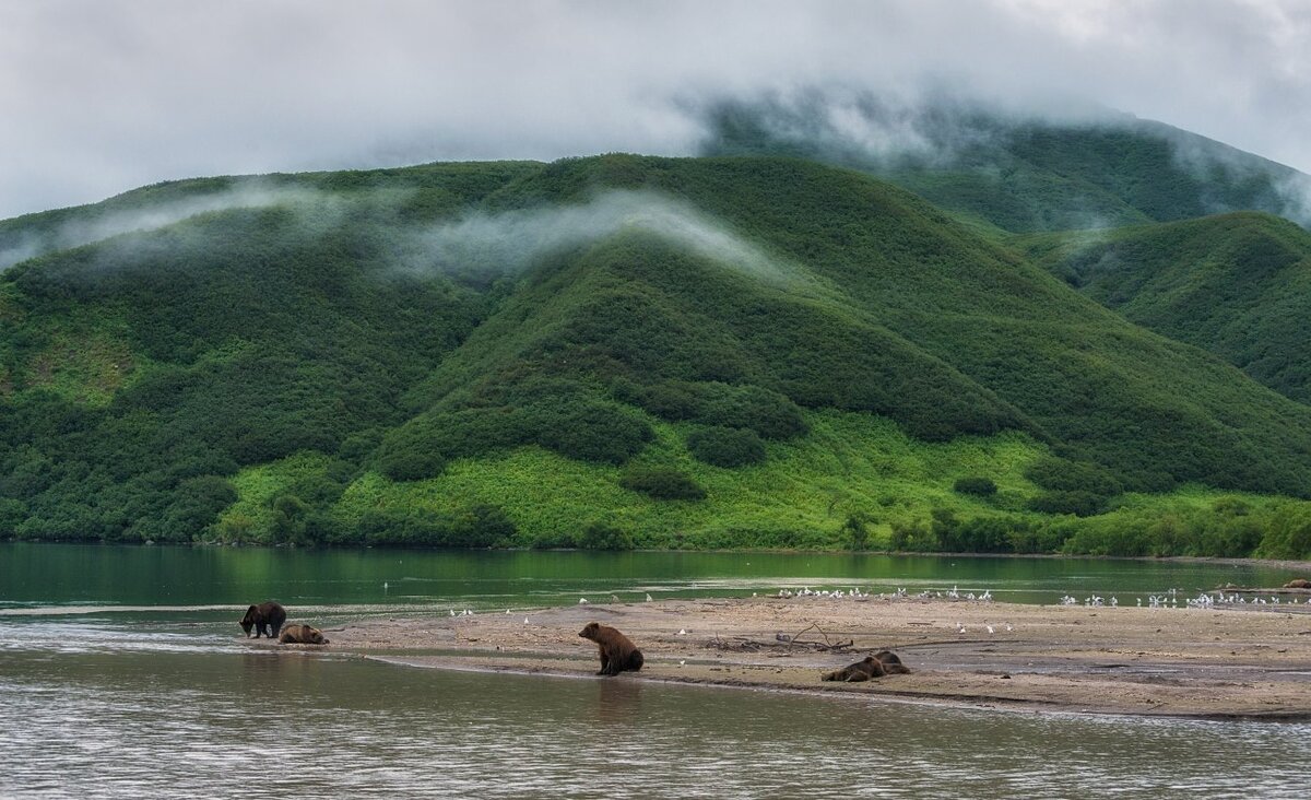 П озерновский камчатский край фото