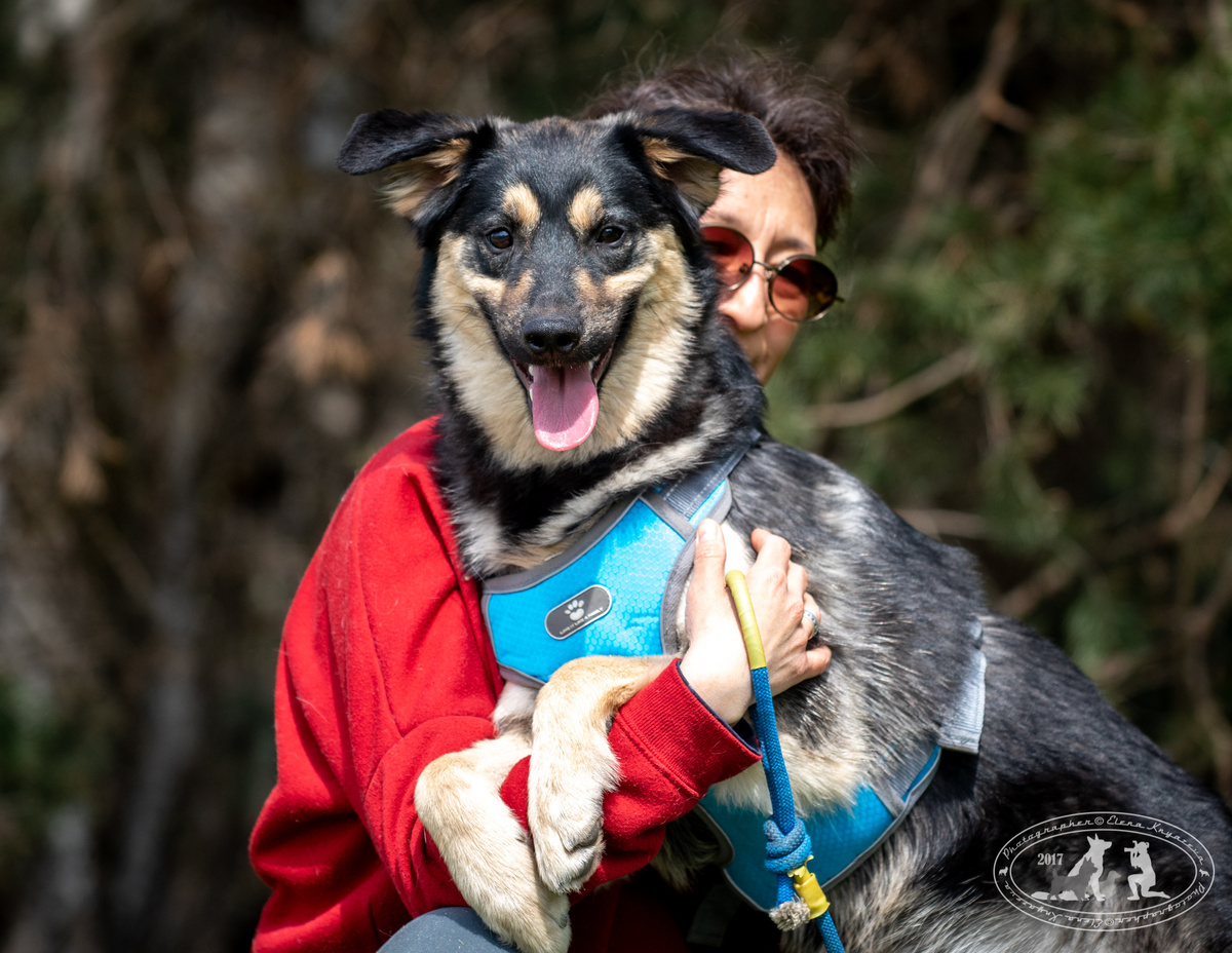 Он рад и обожает этот мир. Он смотрит в глаза так проникновенно, что всегда хочется его обнимать