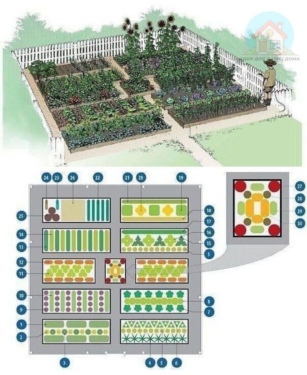 Как правильно разбить сад и огород схемы фото и схемы