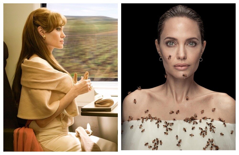 Анджелина снялась в рое пчел, чтобы собрать средства на благотворительность.