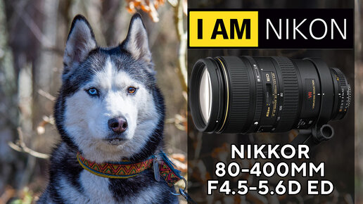 Объектив AF VR Zoom Nikkor 80-400mm f4.5-5.6D ED