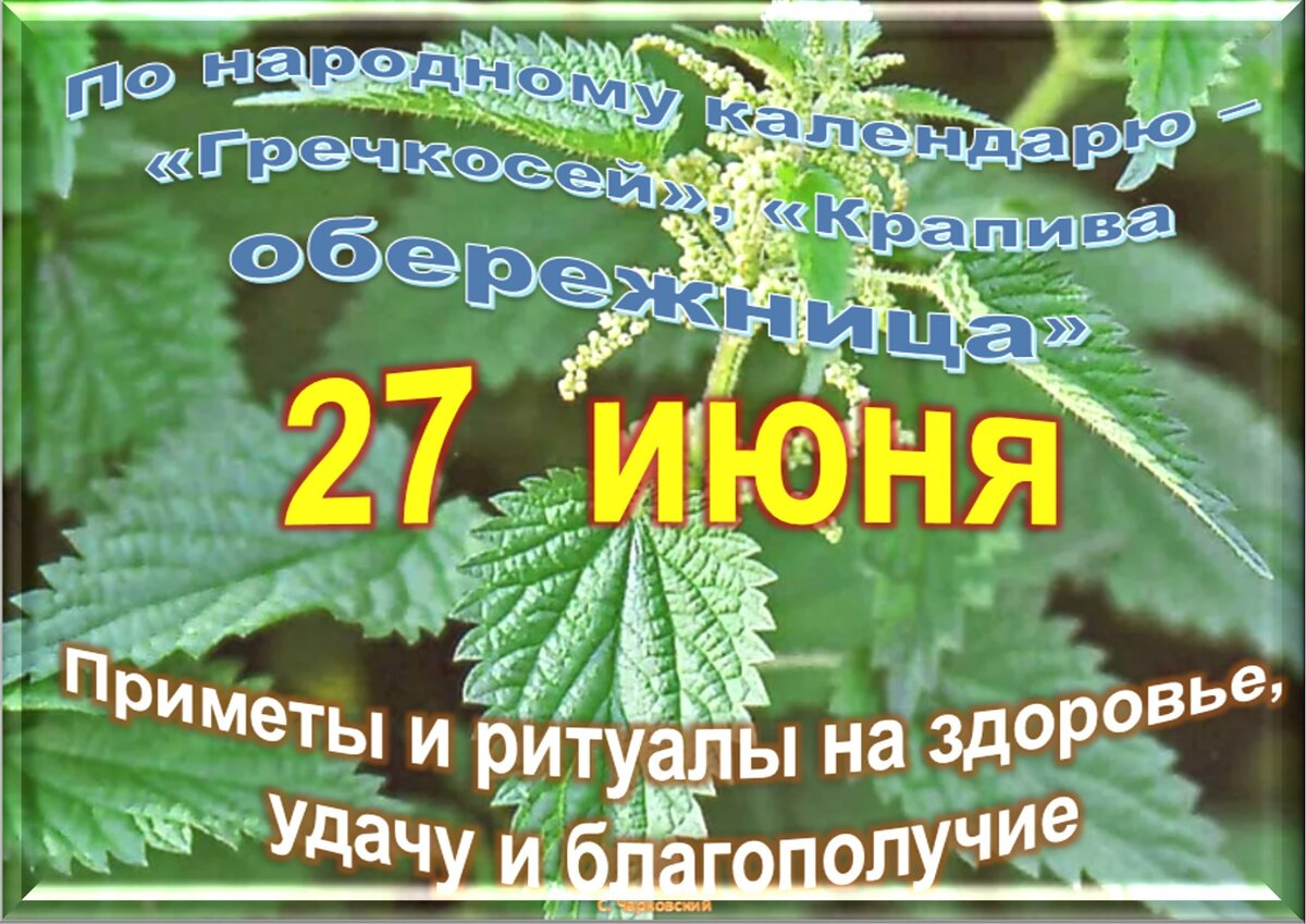 Встречаем новый день