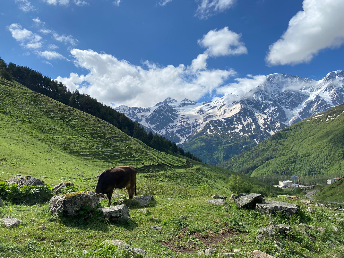Справа внизу, где выглядывают здания, видно начало пути