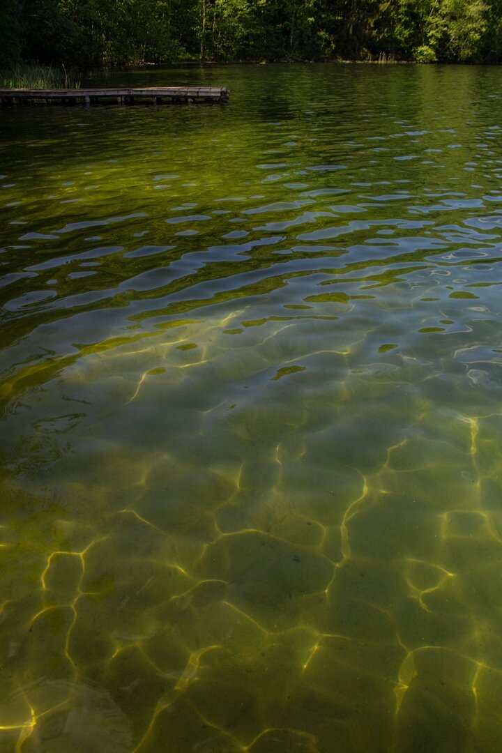 Кристально-прозрачная вода озера "Чистик". Фото автора