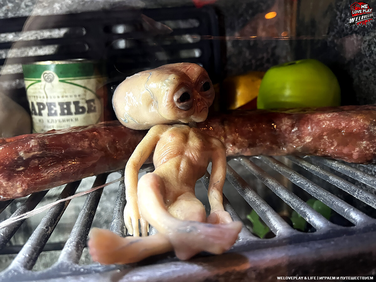 Это тот самый представитель Фриугсов в морозилке. Листайте галерею дальше >