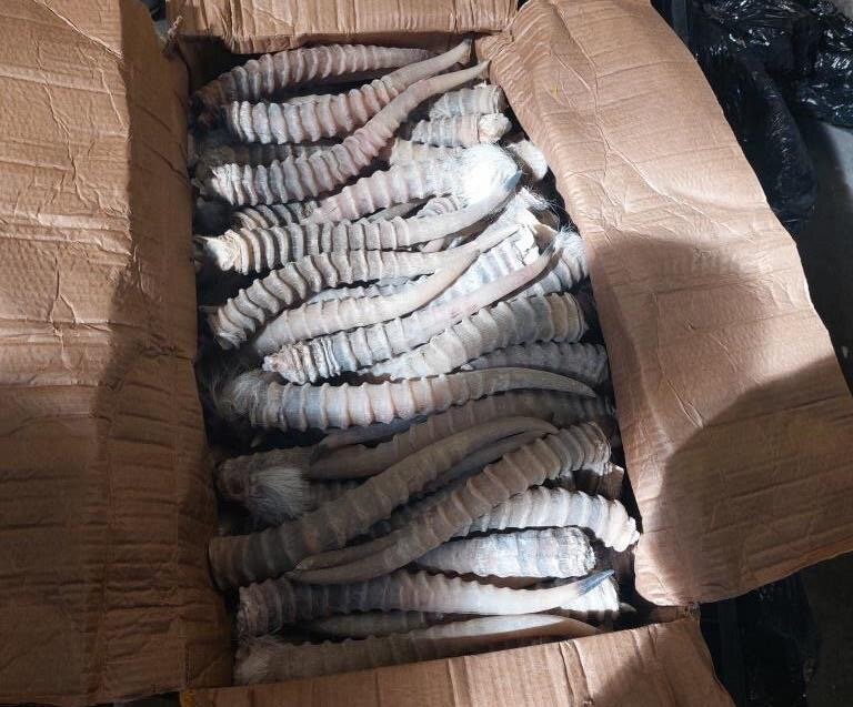 Фото: пресс-служба СЗТУ