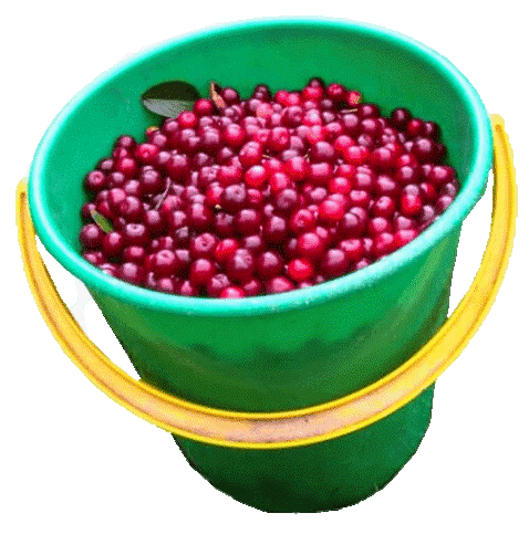 Стоило рублей 6