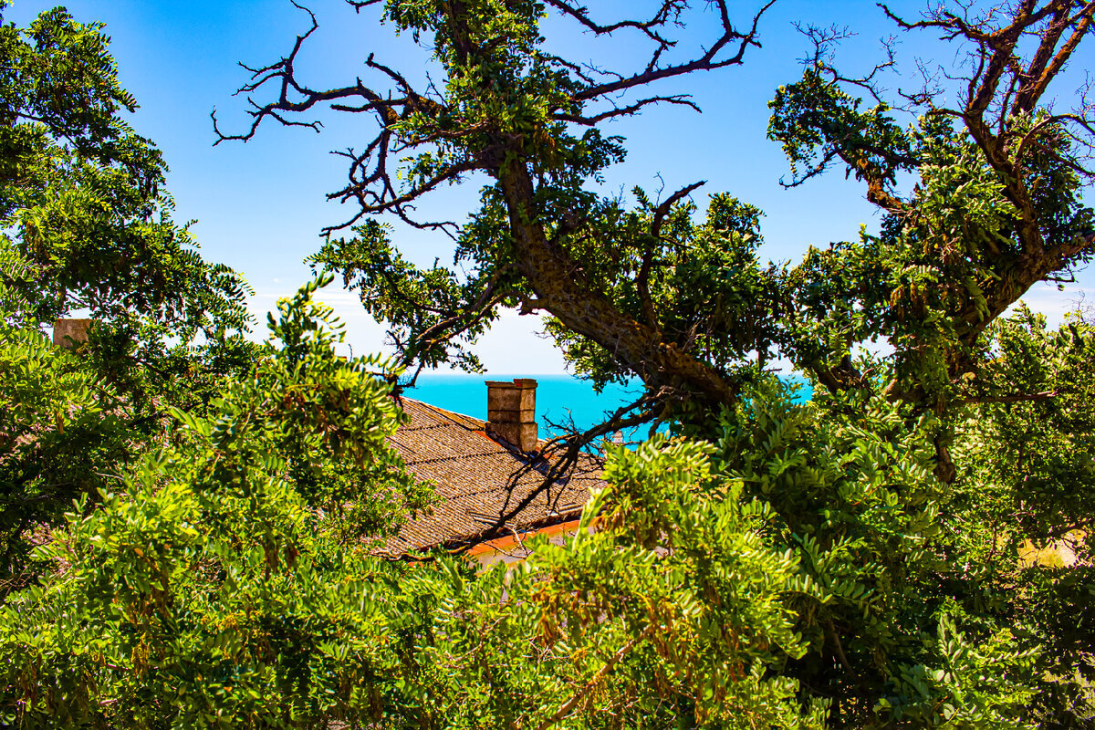 Старый заброшенный дом на мысе Меганом. Фото автора