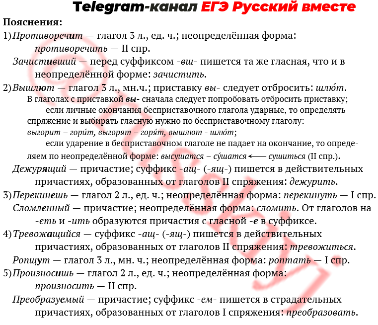 Животные и их необычные проявления благодарности