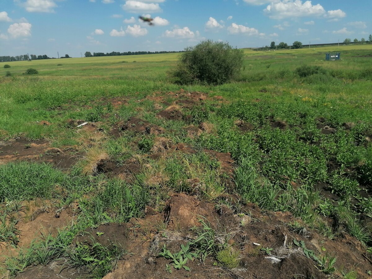    Фото: соцсети Россельхознадзор по Башкирии