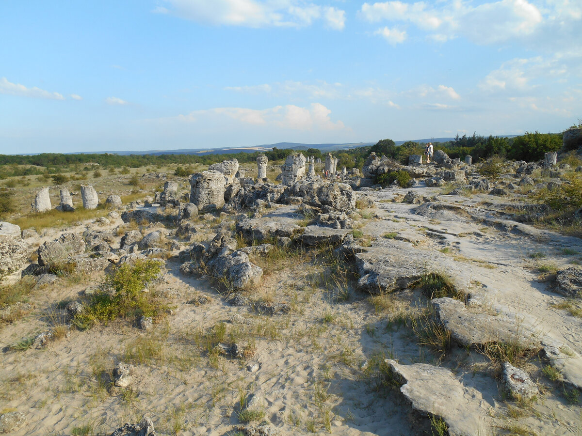 Фото автора Каменный лес Болгария