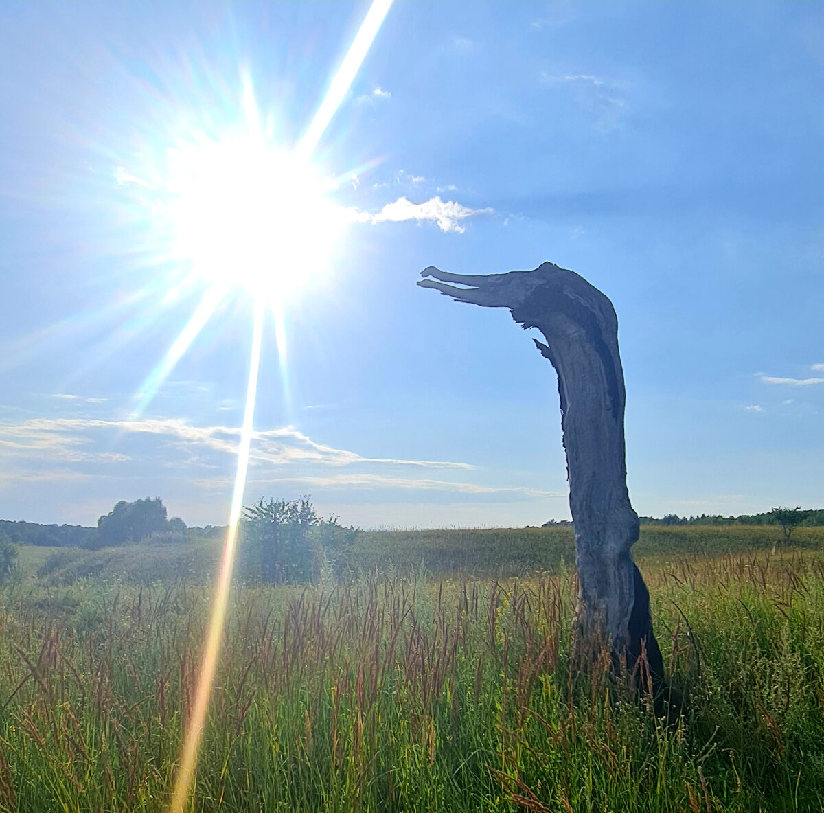 Волжская тропа август 2022 