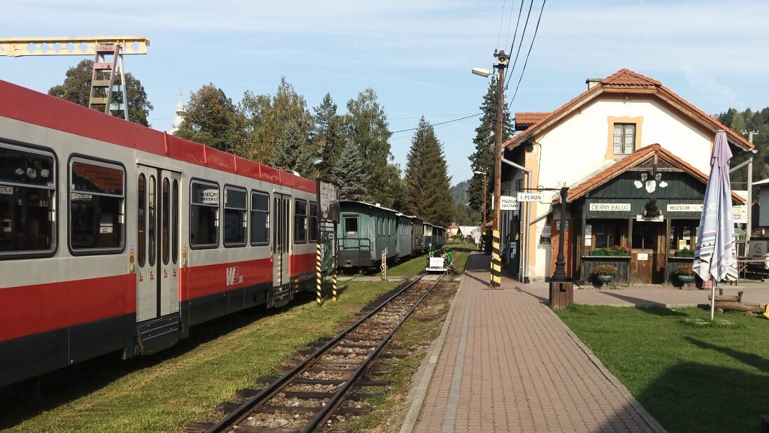 Почти все локомотивы Черногронской узкоколейки можно увидеть на станции, где находится ещё и местный музей