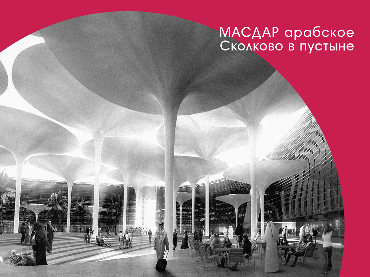 Проекты которые можно реализовать в школе спецкурс Южные горизонты