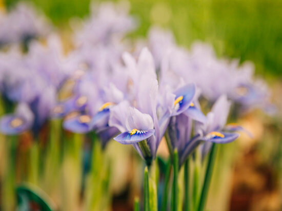     Фото: freepik.com.