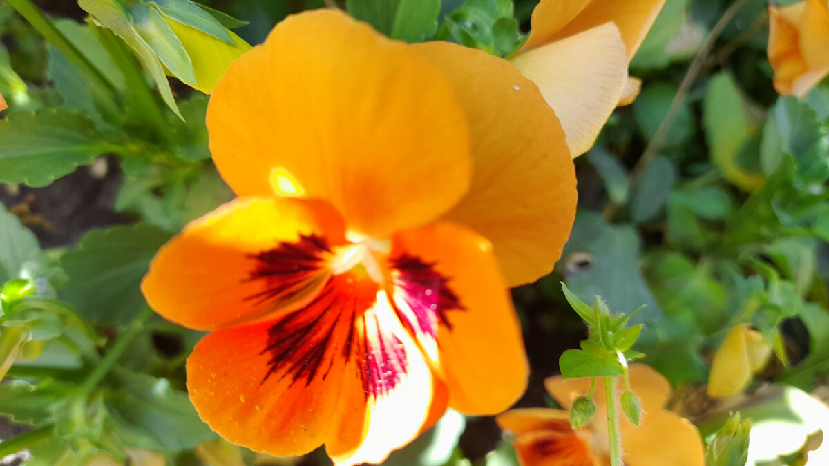 Фото автора канала