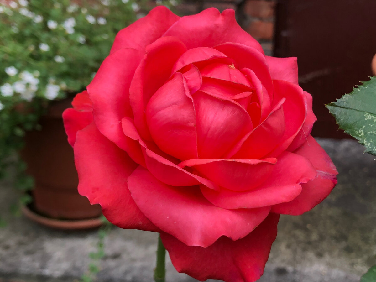 Личное фото 