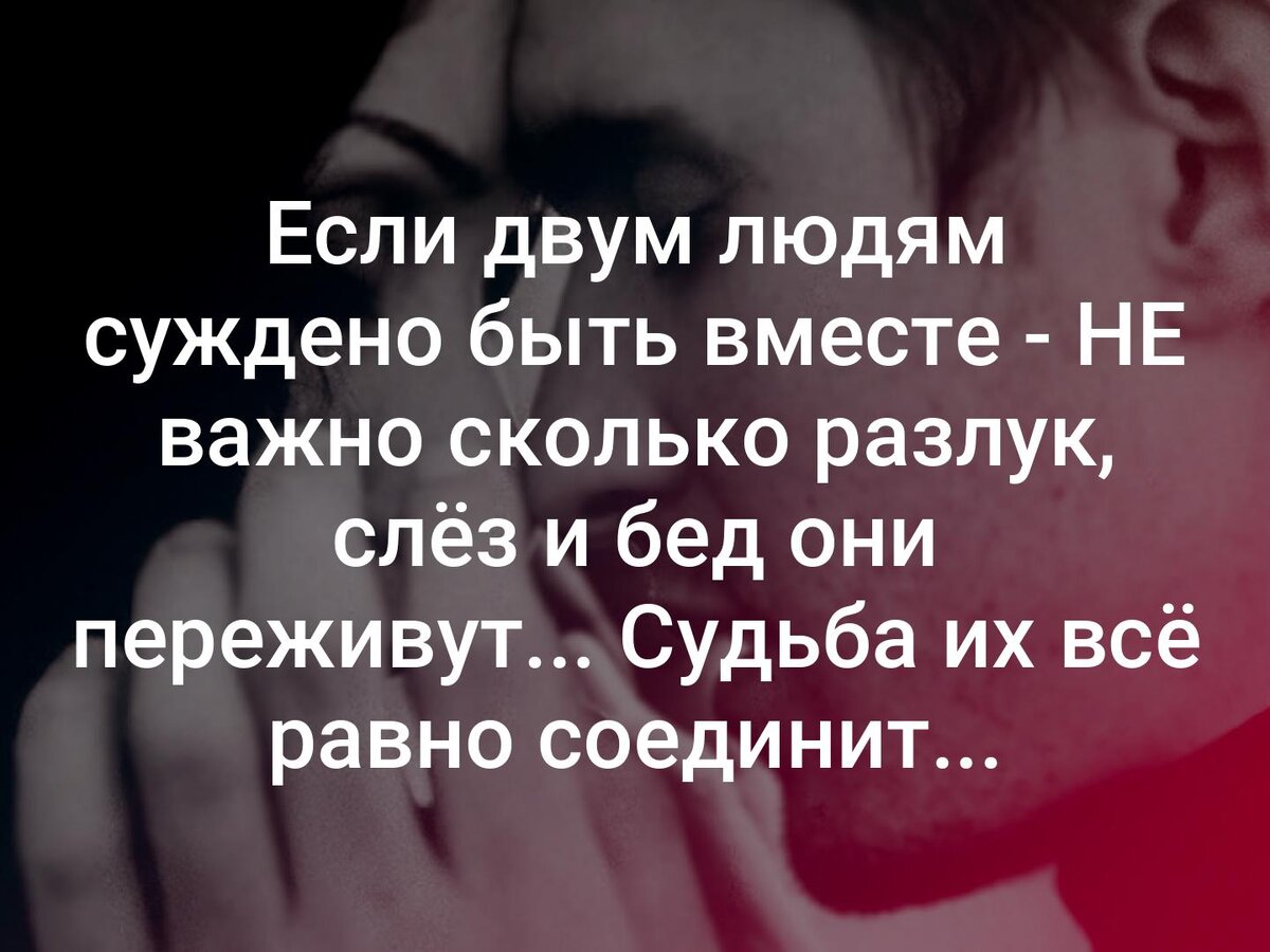 Коллаж из открытых источников.