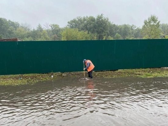     Фото: администрация Курска