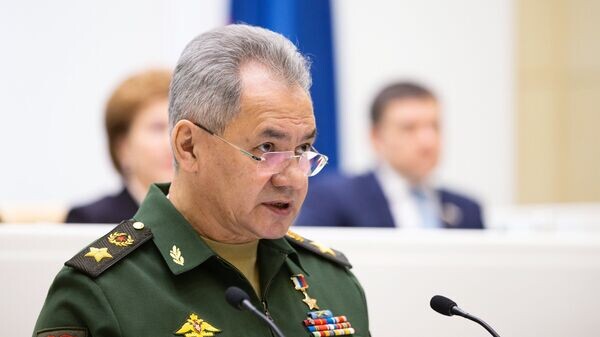   © Пресс-служба Совета Федерации РФ