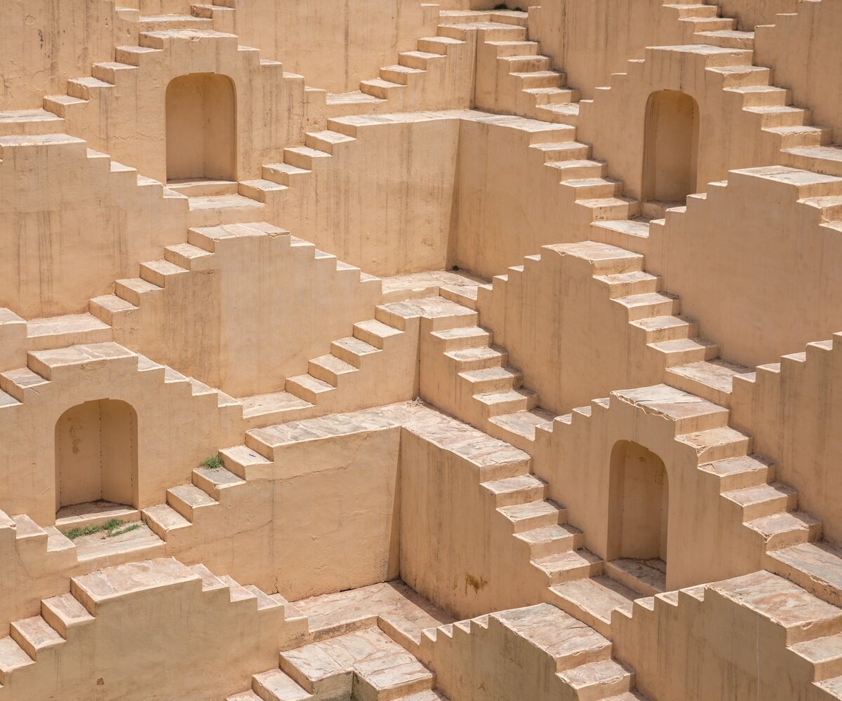     Слон или бык? Самая древняя в мире оптическая иллюзия свела с ума Твиттер