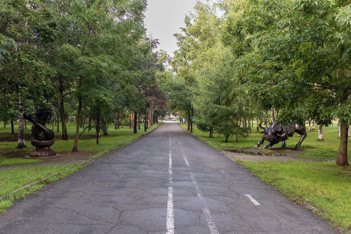 Аллея Амурского бульвара, около скульптур "Знаки Зодиака"