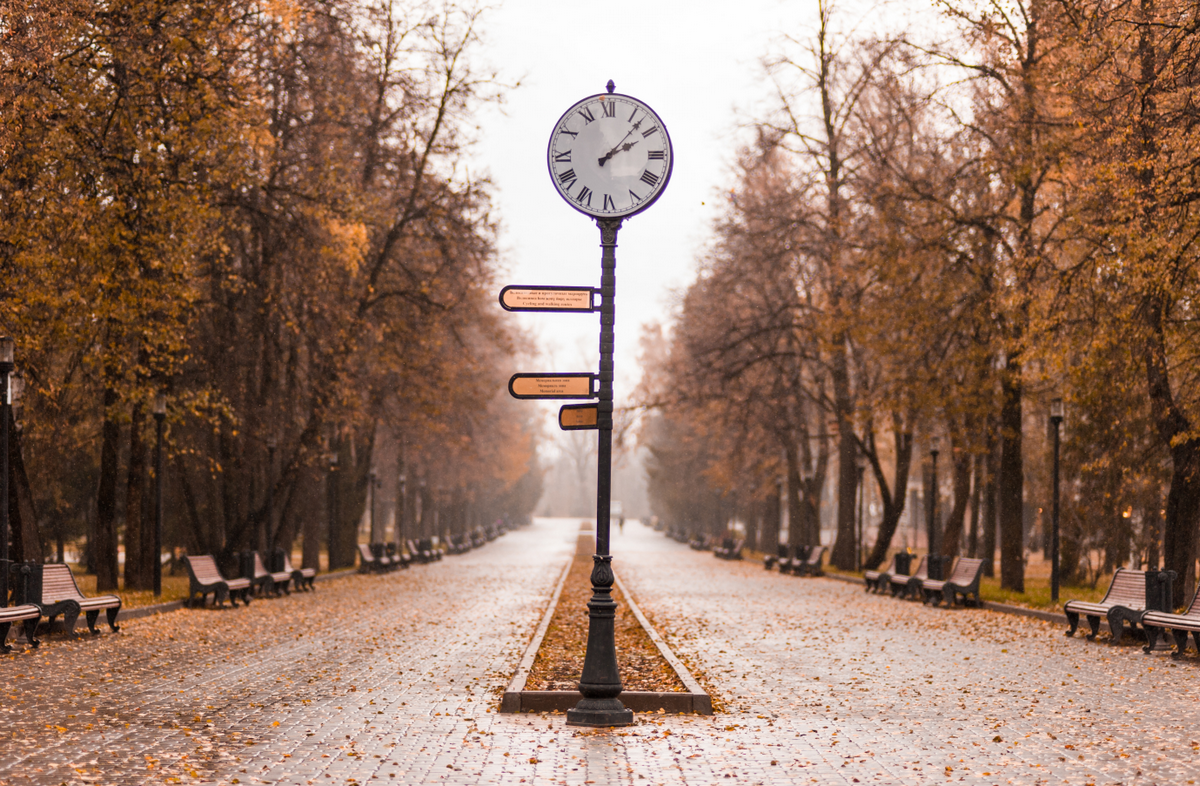 Осенний парк им. Горького, расположенный около Korston Club Hotel