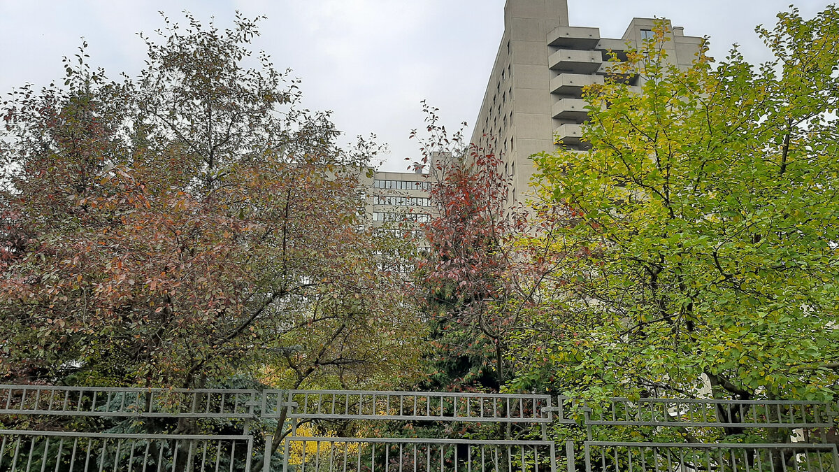 Фото автора - Госпиталь для ветеранов войн N 3, Москва, СВАО.