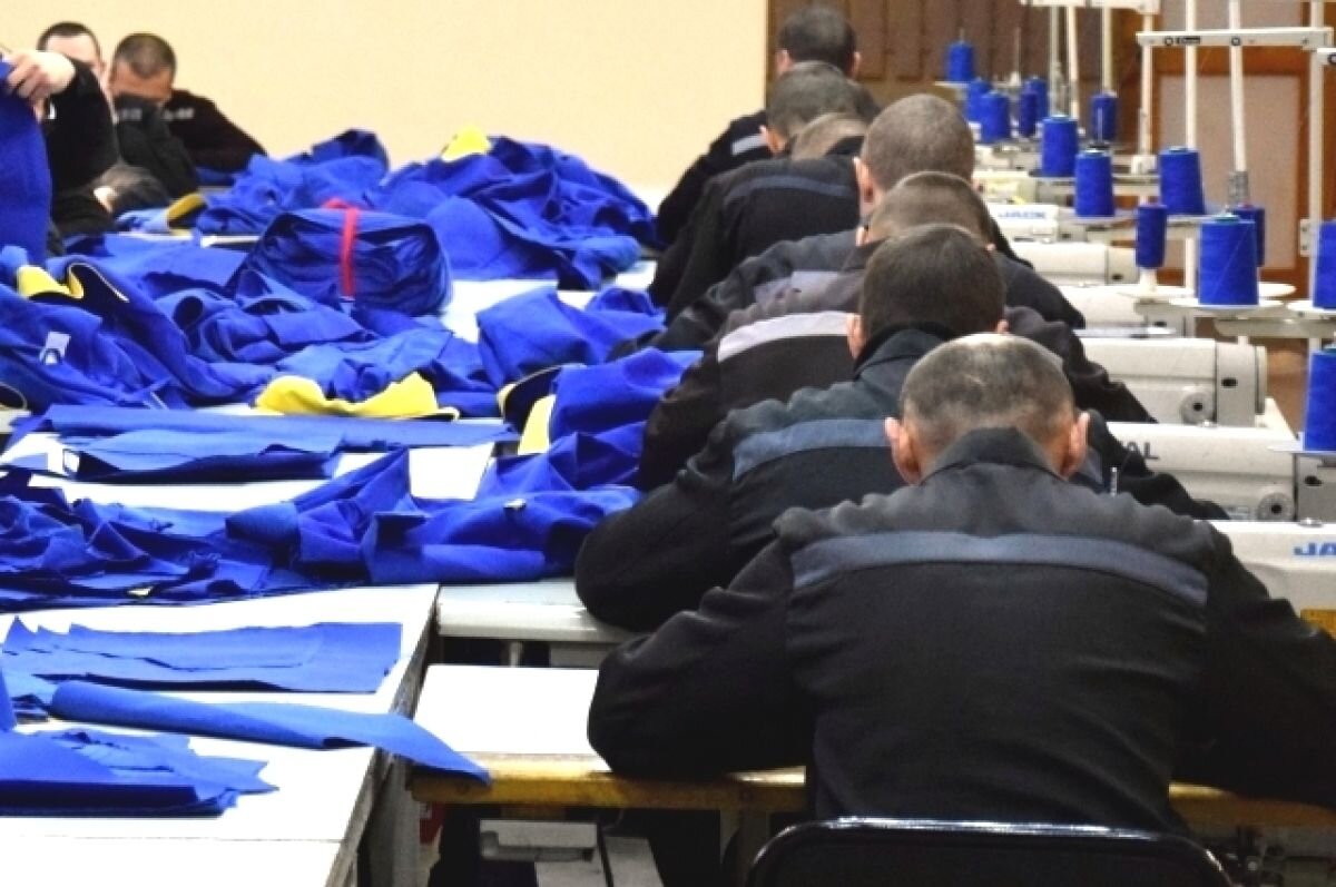    В свердловских колониях сократилось число осужденных