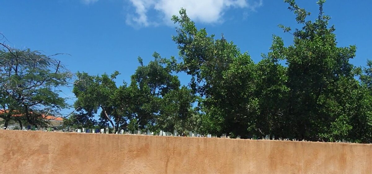 Битые стекла на заборах острова Маргарита