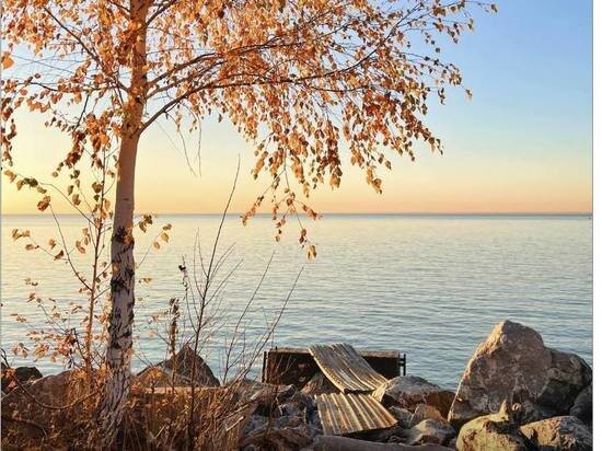     Фото: телеграм-канал "Красивые места Новосибирска" / Артур Галушкин